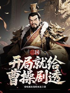 三国曹营谋圣的我竟是大魏长公子免费阅读