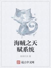 海贼之天赋系统txt百度