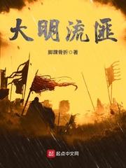 大明流匪TXT资源
