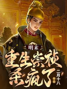 大明 我崇祯要打爆全球