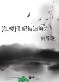 侧妃晋江