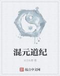 道元混元