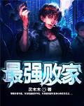 最强败家子纳兰凌风免费
