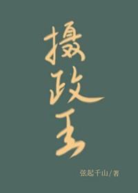 摄政王的掌上皇夫