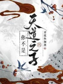 我真的不是天道之子