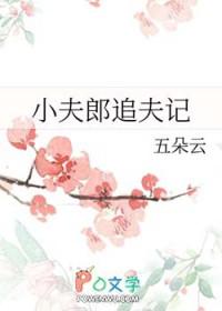 小夫郎追夫记五朵云