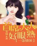 一念成痴首席总裁不签字