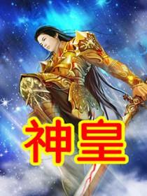 神皇太极