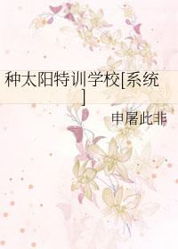 种太阳讲课视频