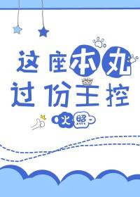 这个本丸过于主控