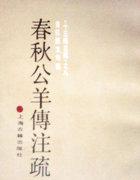 春秋公羊传的传是什么意思