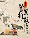重生之鸳鸯拆散 推文