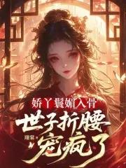 穿越丫鬟媚骨