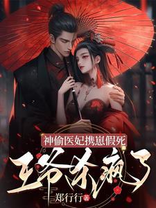 神偷王妃这个王爷我要了免费阅读全文