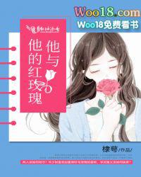 她与红玫瑰
