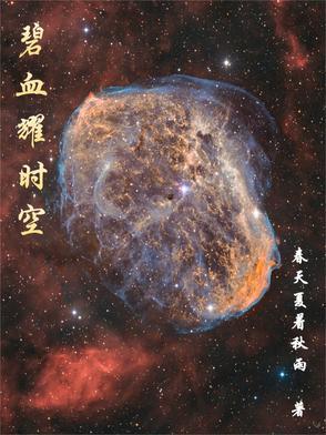 碧血长空穿越二战完整版