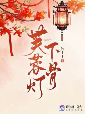 芙蓉斋免费全文