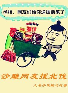 沙雕网友援北伐TXT全本