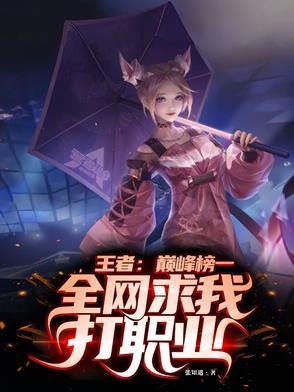王者荣耀职业选手巅峰期
