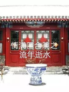 情满四合院改版