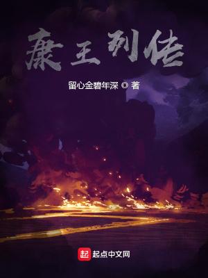 康王列传精校