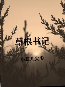 草根市长