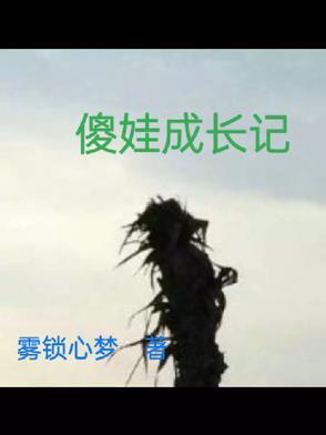 傻娃子啥意思