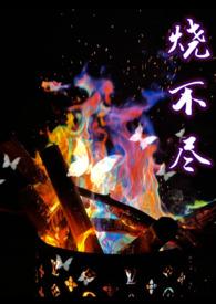 烧不尽无弹窗