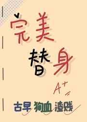 完美替身林婉汀