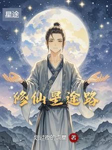 流星划过了夜空