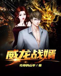 战龙强婿全文免费