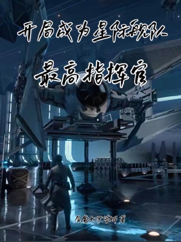 星际之开局一支舰队