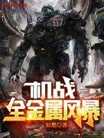 机战全金属风暴 第2067章