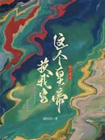 这个皇帝我当定了