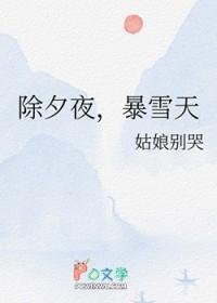 暴雪天txt资源