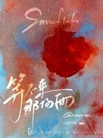 我却等不来一句我爱你