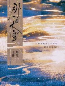 那天大雪纷纷下阅读