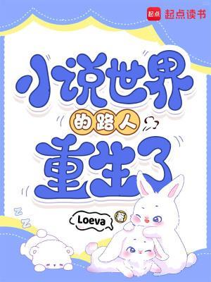重生在包青天世界的