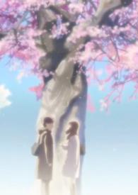 樱花树下kokia