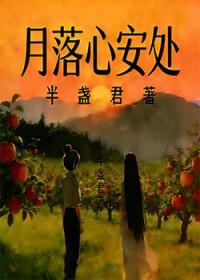 月落心安处全诗解释