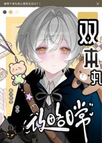 本体双刀配装