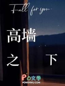 高墙之内