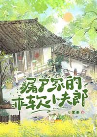 屠户家的小夫郎txt盘搜搜