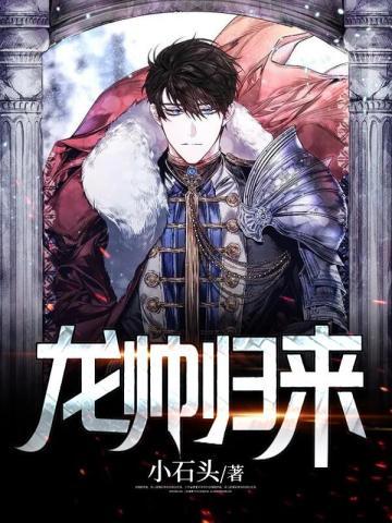 龙帅归来全集在线观看