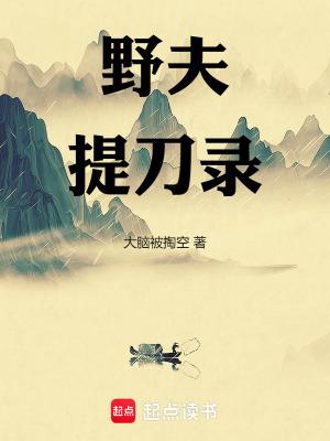野夫提刀录TXT资源