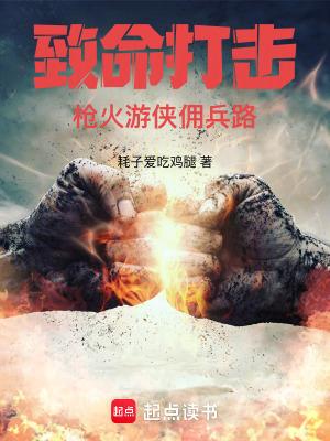 致命打击枪火游侠佣兵路篱笆好文学