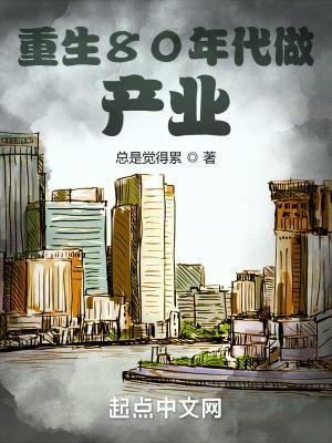 重生八十年代的商业